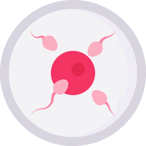 Intrauterine Insemination