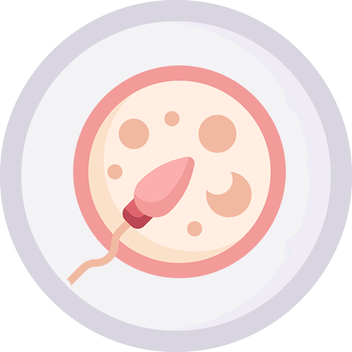 In Vitro Fertilisation